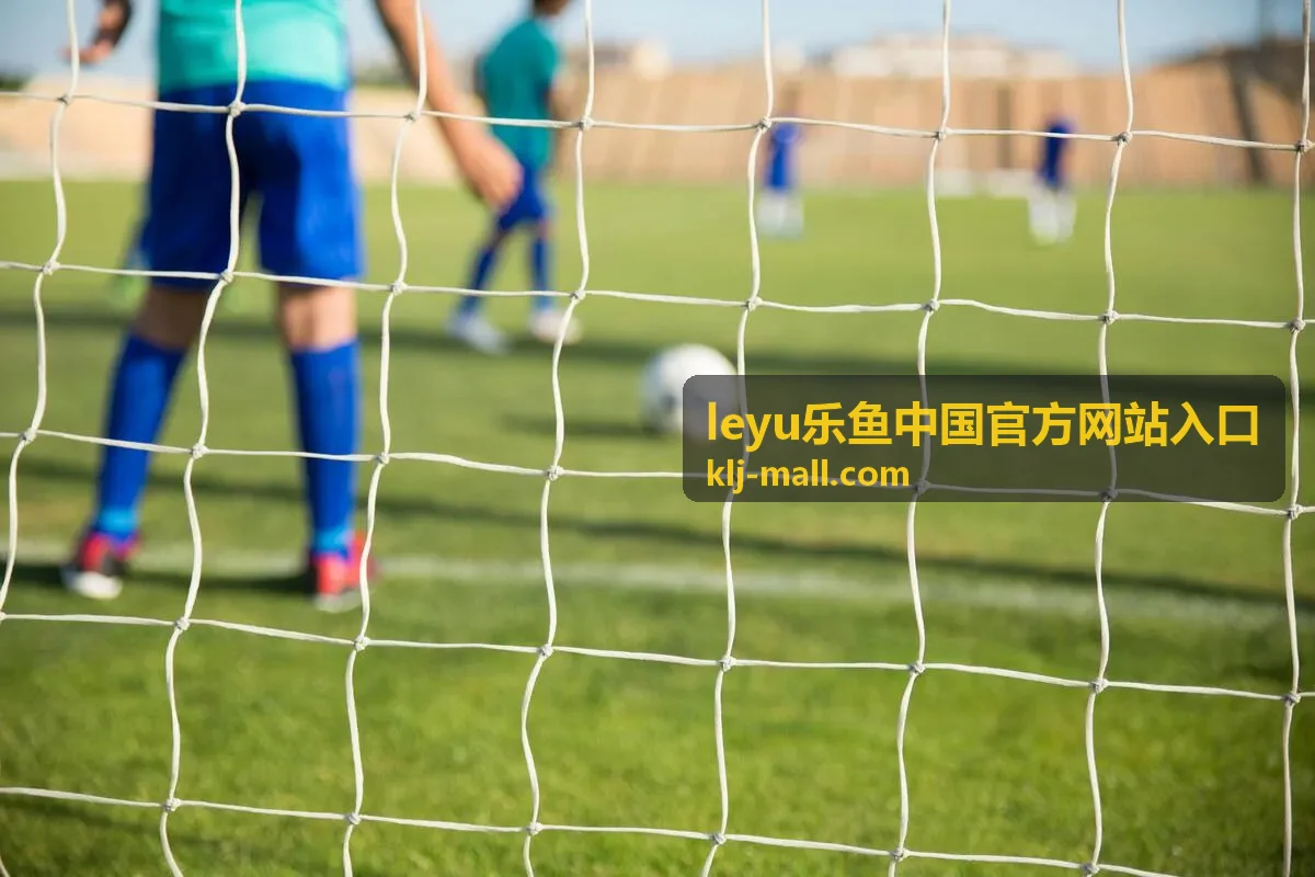 leyu乐鱼中国官方网站入口 安全验证说明页面配图