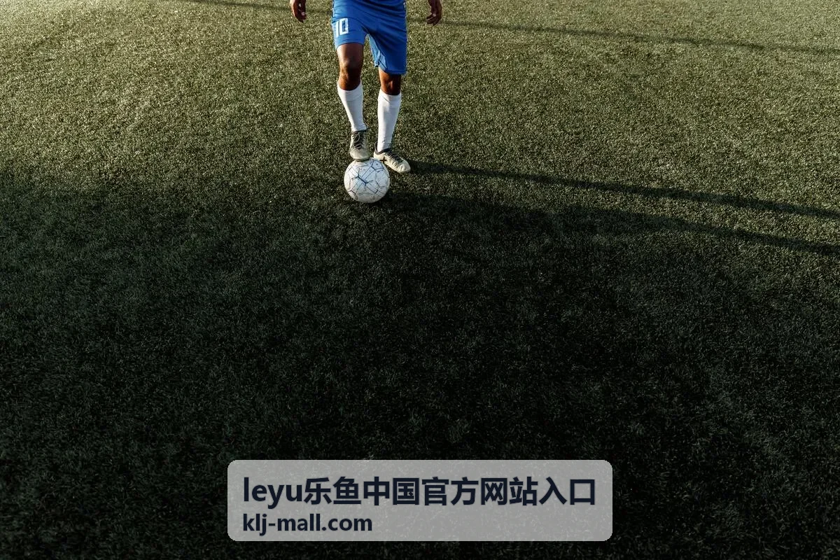 leyu乐鱼中国官方网站入口页面特征核对示意